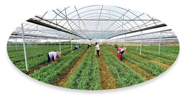 價(jià)格優(yōu)勢(shì)