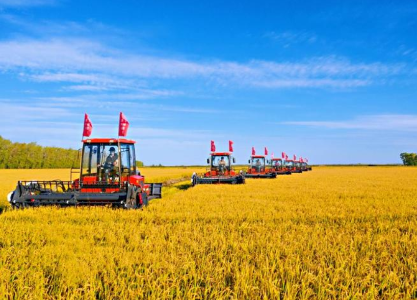 農產品配送公司為您分享報道:今年全年糧食有望再獲豐收