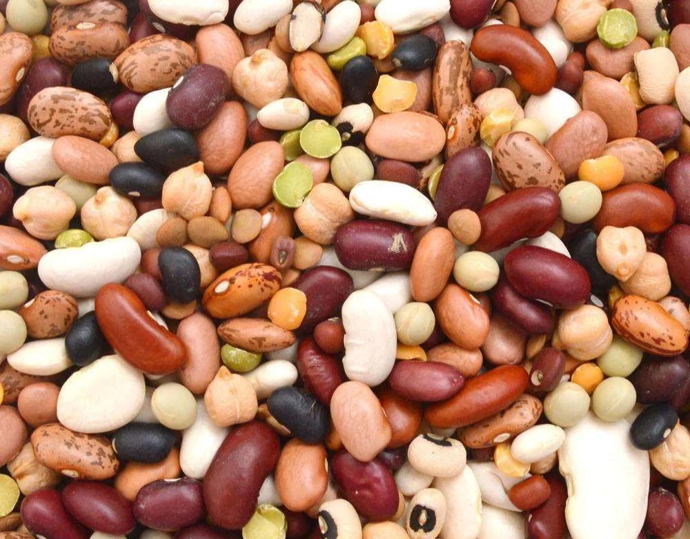 ?深圳蔬菜配送公司科普:為什么發(fā)芽的豆類不宜食用?