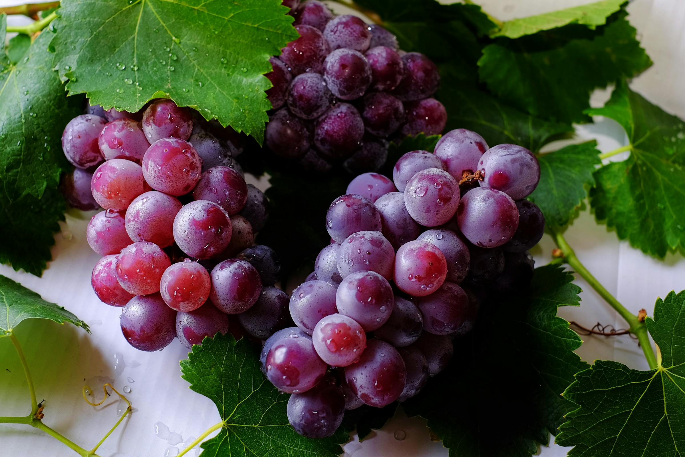 1774366921226746.jpg pexels-qjpioneer-708777.jpg